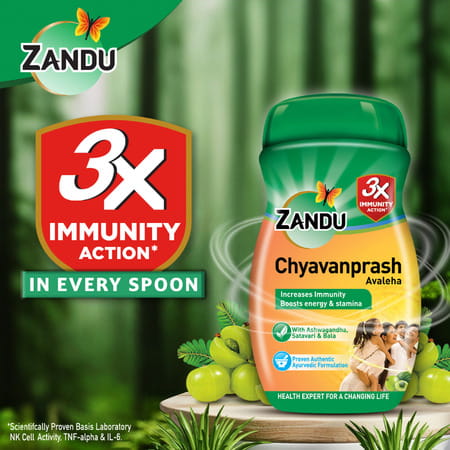 Zandu Chyavanprash Avaleha Health Food Bottle Of 450 G