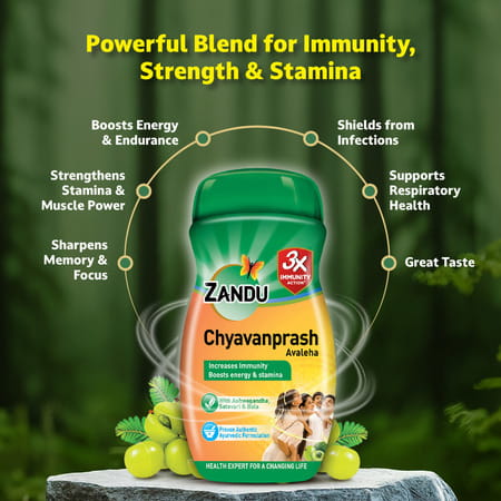 Zandu Chyavanprash Avaleha Health Food Bottle Of 450 G