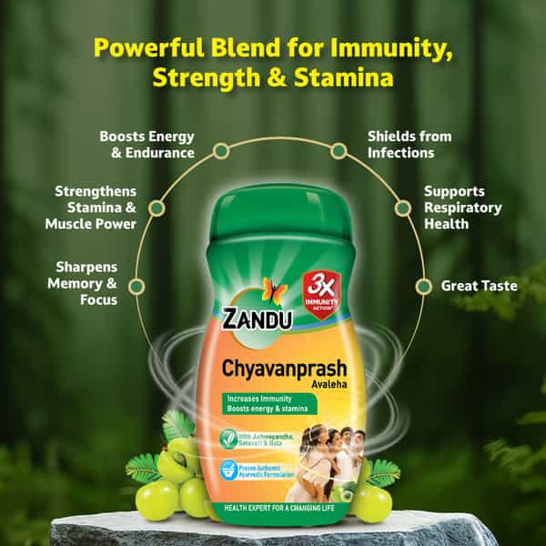 Zandu Chyavanprash Avaleha Health Food Bottle Of 450 G