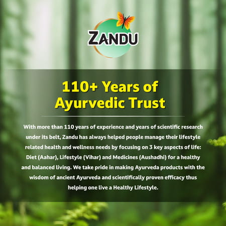 Zandu Chyavanprash Avaleha Health Food Bottle Of 450 G