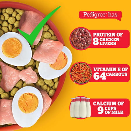 Pedigree Adult Dry Dog Food | Chicken | Egg & Rice | 20 Kg | Contains 37 Essential Nutrients
