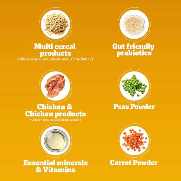 Pedigree Adult Dry Dog Food | Chicken | Egg & Rice | 20 Kg | Contains 37 Essential Nutrients