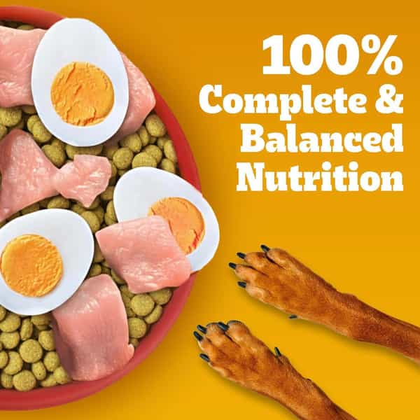 Pedigree Adult Dry Dog Food | Chicken | Egg & Rice | 20 Kg | Contains 37 Essential Nutrients