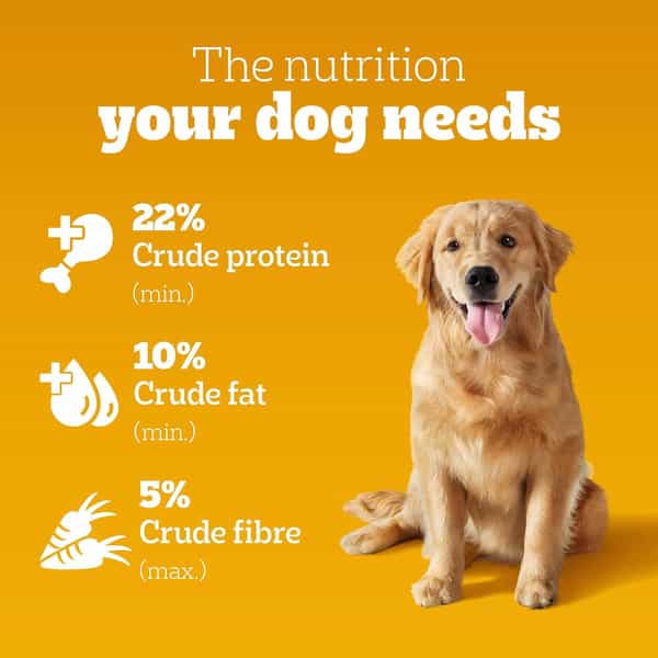 Pedigree Adult Dry Dog Food | Chicken | Egg & Rice | 20 Kg | Contains 37 Essential Nutrients