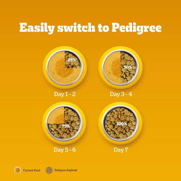 Pedigree Adult Dry Dog Food | Chicken | Egg & Rice | 20 Kg | Contains 37 Essential Nutrients