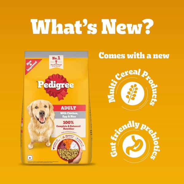 Pedigree Adult Dry Dog Food | Chicken | Egg & Rice | 20 Kg | Contains 37 Essential Nutrients