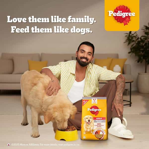 Pedigree Adult Dry Dog Food | Chicken | Egg & Rice | 20 Kg | Contains 37 Essential Nutrients