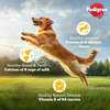 Pedigree Adult Dry Dog Food | Chicken | Egg & Rice | 20 Kg | Contains 37 Essential Nutrients