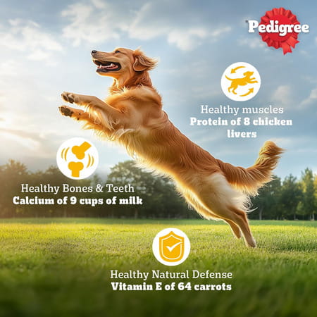 Pedigree Adult Dry Dog Food | Chicken | Egg & Rice | 20 Kg | Contains 37 Essential Nutrients