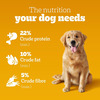Pedigree Adult Dry Dog Food | Chicken | Egg & Rice | 20 Kg | Contains 37 Essential Nutrients