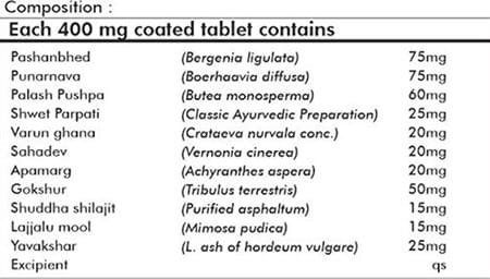 Grazing Meadows Ston Vedic 900 Tablets | Ayurvedic Herbal Supplement For Kidney Stone (Pack Of 4)