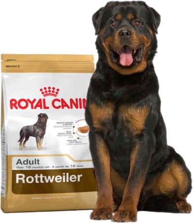 Royal Canin Rottweiler Adult Dog Food | 12 Kg | Dry Food