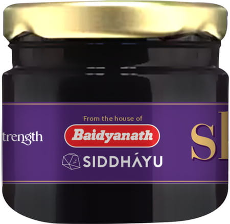 Baidyanath Asli Ayurved Himalayan Shilajit Resin | Improves Strength Stamina Vitality | 20g (2 Pack)
