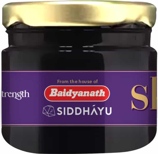 Baidyanath Asli Ayurved Himalayan Shilajit Resin | Improves Strength Stamina Vitality | 20G (2 Pack)