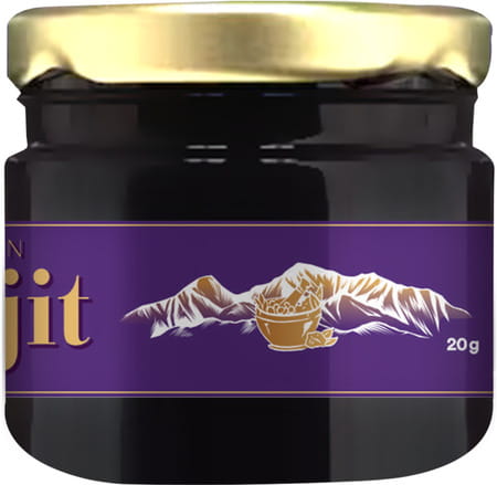 Baidyanath Asli Ayurved Himalayan Shilajit Resin | Improves Strength Stamina Vitality | 20g (2 Pack)