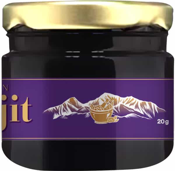Baidyanath Asli Ayurved Himalayan Shilajit Resin | Improves Strength Stamina Vitality | 20G (2 Pack)