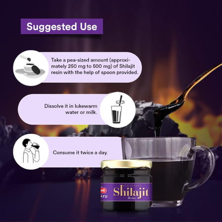 Baidyanath Asli Ayurved Himalayan Shilajit Resin | Improves Strength Stamina Vitality | 20g (2 Pack)