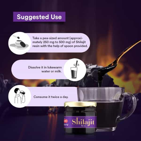 Baidyanath Asli Ayurved Himalayan Shilajit Resin | Improves Strength Stamina Vitality | 20G (2 Pack)