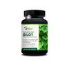Giloy Herbal Capsules For Boosts Immunity And Digestion Immunity Booster 30 Capsules 100% Ayurvedic