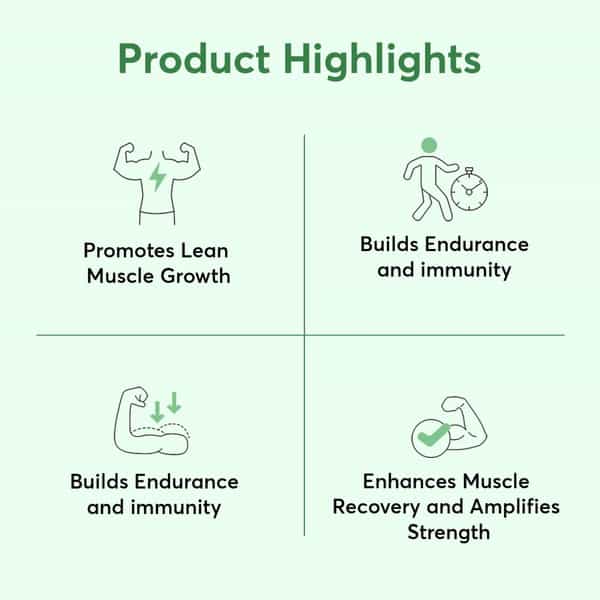 Bug Buddy Workout Nutrition | Amino Acids & Recovery Formula | 30 Days Pack