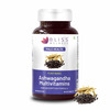 Bliss Welness Ashwagandha Multivitamin For Mind&Body Anti Anxiety Supplement|For Men- 60 Veg Tablets