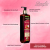 Panchvati Herbals Onion Fenugreek Hair Shampoo - 300 Ml
