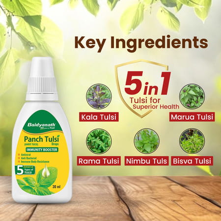 Baidyanath Panch Tulsi Drops | Natural Immunity Booster With Goodness Of Five Types Of Tulsi - 30ml