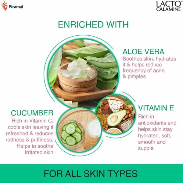 Lacto Calamine Daily Cleansing Face Wipes With Aloe Vera Cucumber And Vitamin E - 25 Wipes