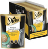 Sheba Fine Premium Adult (1+ Years) Wet Cat Food | Tuna Pumpkin & Carrot In Gravy | 14 X 70 G