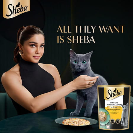 Sheba Fine Premium Adult (1+ Years) Wet Cat Food | Tuna Pumpkin & Carrot In Gravy | 14 X 70 G