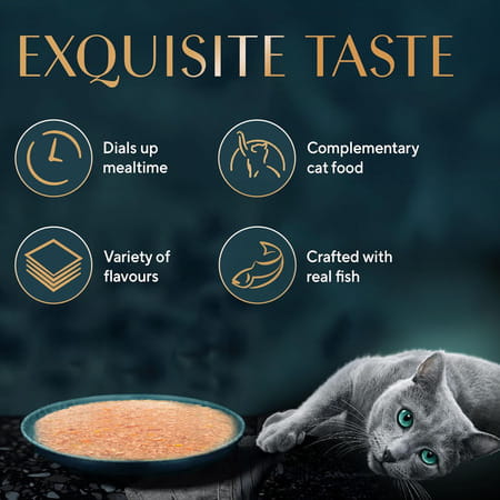 Sheba Fine Premium Adult (1+ Years) Wet Cat Food | Tuna Pumpkin & Carrot In Gravy | 14 X 70 G