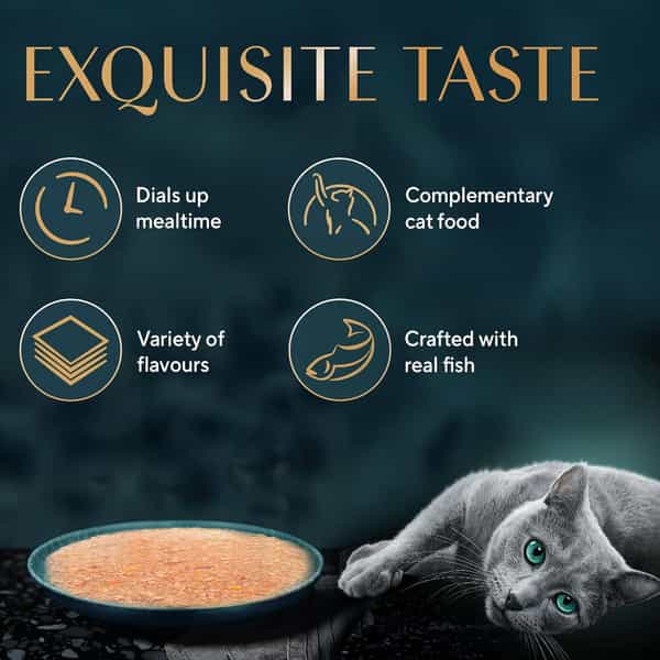 Sheba Fine Premium Adult (1+ Years) Wet Cat Food | Tuna Pumpkin & Carrot In Gravy | 14 X 70 G