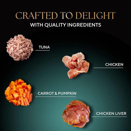 Sheba Fine Premium Adult (1+ Years) Wet Cat Food | Tuna Pumpkin & Carrot In Gravy | 14 X 70 G