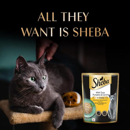 Sheba Fine Premium Adult (1+ Years) Wet Cat Food | Tuna Pumpkin & Carrot In Gravy | 14 X 70 G