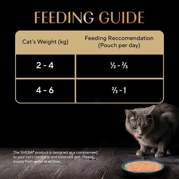 Sheba Fine Premium Adult (1+ Years) Wet Cat Food | Tuna Pumpkin & Carrot In Gravy | 14 X 70 G