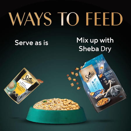 Sheba Fine Premium Adult (1+ Years) Wet Cat Food | Tuna Pumpkin & Carrot In Gravy | 14 X 70 G