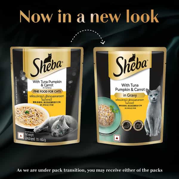 Sheba Fine Premium Adult (1+ Years) Wet Cat Food | Tuna Pumpkin & Carrot In Gravy | 14 X 70 G