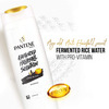 Pantene Advanced Hair Fall Solution Long Black Shampoo - 180Ml