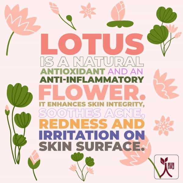 Ningen Lotus Hair Conditioner Enriched With Jojoba And Argan Extracts - 100G