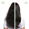 Matrix Biolage Advanced Fiberstrong Strengthening Shampoo & Conditioner (200Ml+98Ml)