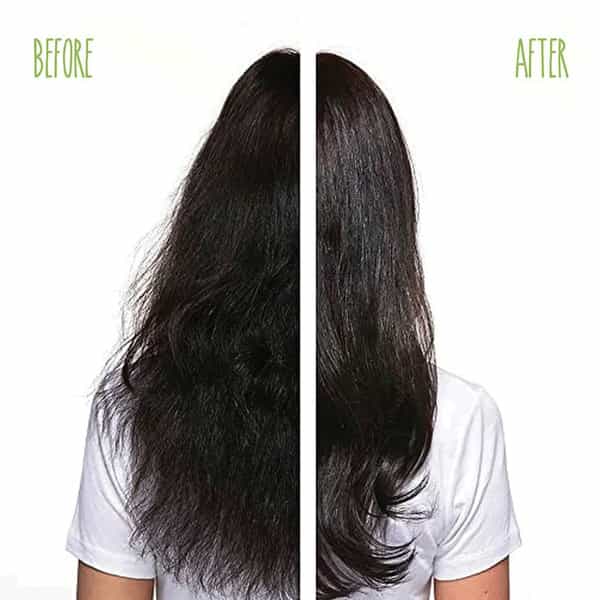 Matrix Biolage Advanced Fiberstrong Strengthening Shampoo & Conditioner (200Ml+98Ml)