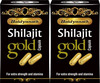 Baidyanath Shilajit Gold-100% Ayurvedic Capsule (2 Pack)