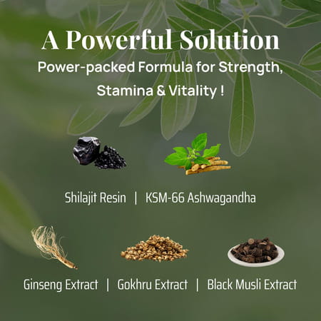 Bliss Welness Pure Himalayan Shilajit Coffee Flavour Gummies 30 No'S