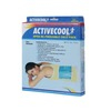Vissco Active Ice Cool Gel Pack - Regular Pack