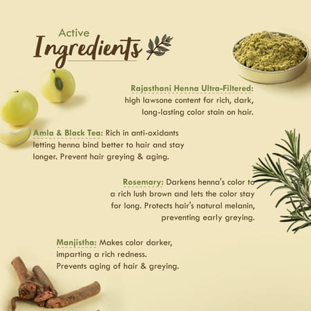 Nat Habit Ready To Apply Henna Paste For Rich Brown Shade From Rajasthani Henna Powder - 220g