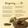 Nat Habit Ready To Apply Henna Paste For Rich Brown Shade From Rajasthani Henna Powder - 220G