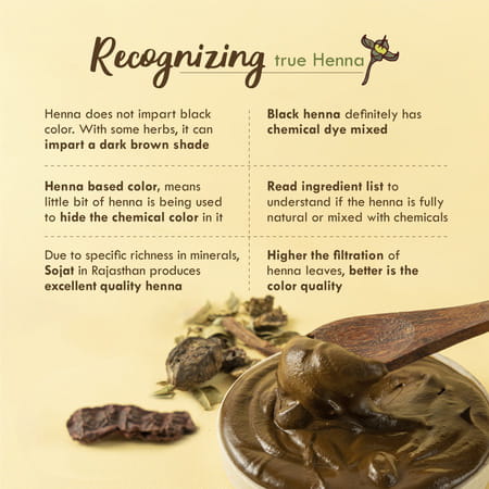 Nat Habit Ready To Apply Henna Paste For Rich Brown Shade From Rajasthani Henna Powder - 220g