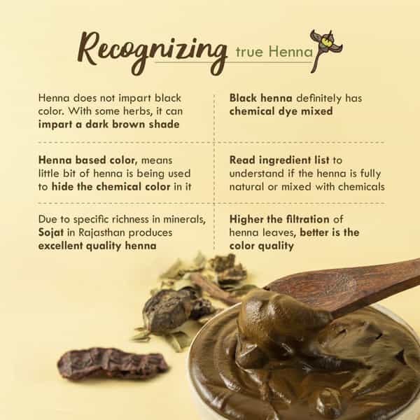 Nat Habit Ready To Apply Henna Paste For Rich Brown Shade From Rajasthani Henna Powder - 220G