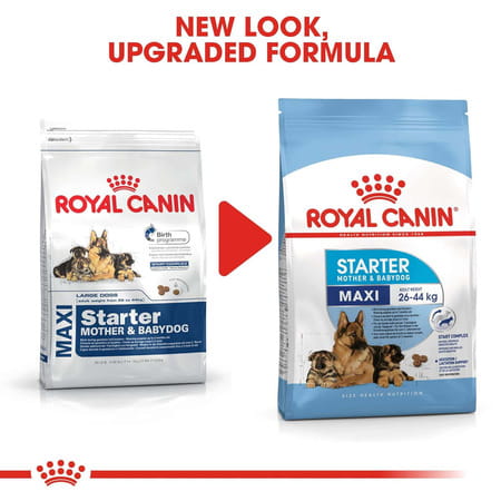 Royal Canin Maxi Starter | Mother & Babydog Food | 15 Kg | Dry Food
