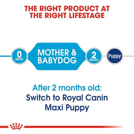 Royal Canin Maxi Starter | Mother & Babydog Food | 15 Kg | Dry Food